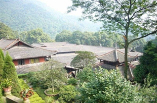 ݶ겻Ҷ
