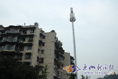 2013428գסɽϼ·ԷȺһͻȻԼСⱻ֪Ϊ·̵ġһҹ֮䣬Ȼˡƶվ...