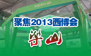 ۽2013ᡤɽ